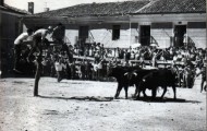 Vacas y rueda en Mayorga