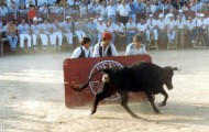La peña Miura en el tablero en las fiestas de Mayorga