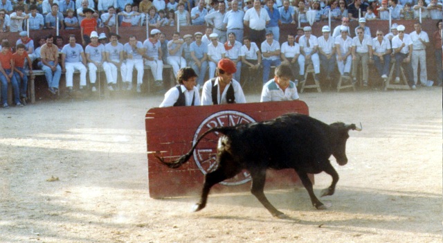 La peña Miura en el tablero en las fiestas de Mayorga