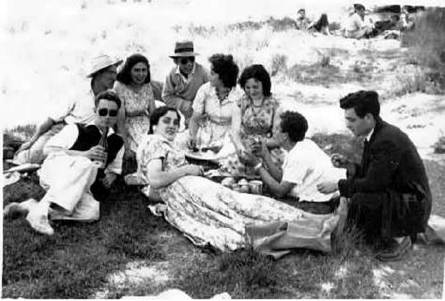 Foto de unos mayorganos en el campo