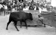 Foto de mayorganos con el tablero en Mayorga