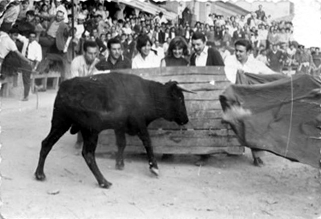 Foto de mayorganos con el tablero en Mayorga