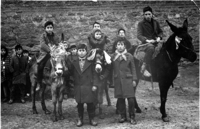 Foto de la celebración de San Antón en Mayorga 1962