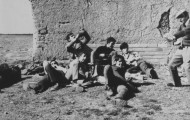 Romería del Toro en Mayorga