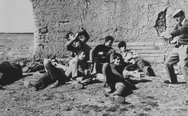Romería del Toro en Mayorga