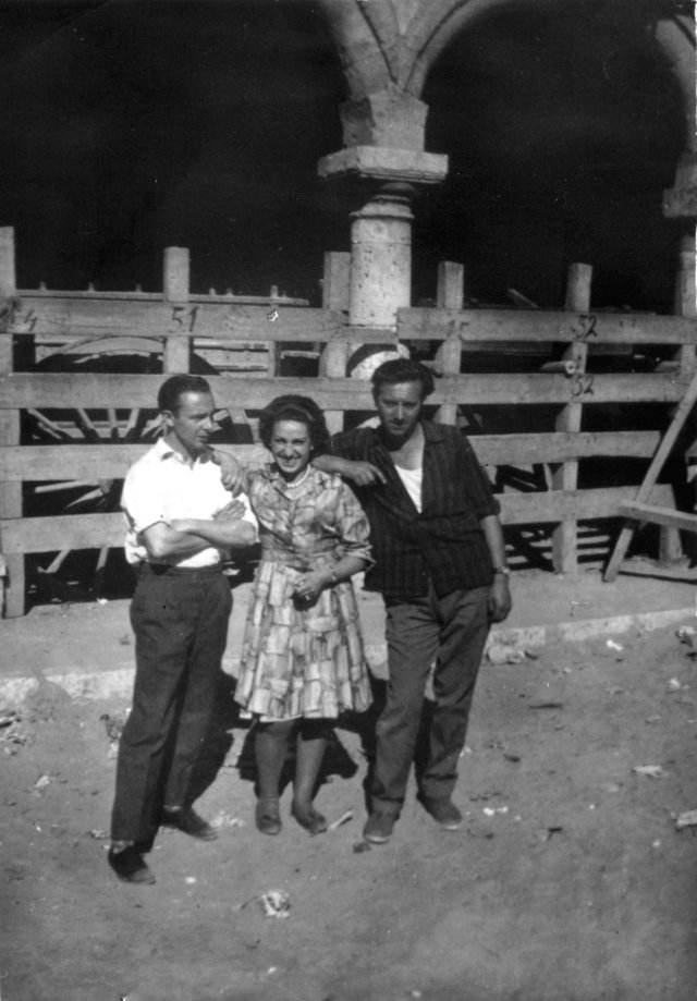 Foto de mayorganos en la plaza de toros de Mayorga