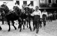 Foto de los mulilleros de Mayorga en 1970