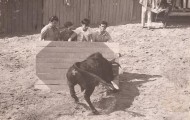 Tablero en las fiestas de Mayorga