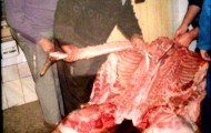 Familia Pascual realizando la matanza