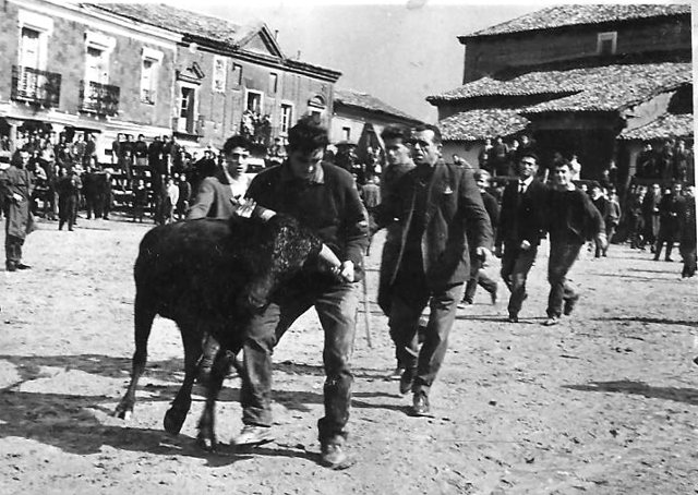 Foto de las fiestas de Mayorga