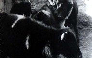 Francisco Trigueros Rodríguez con los becerros