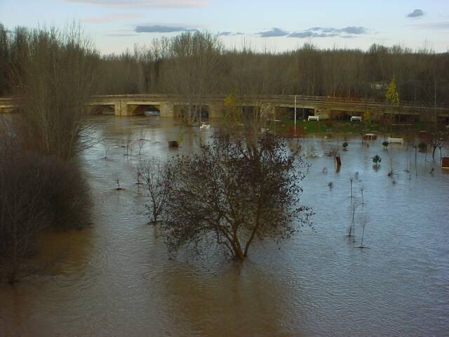 Río Cea Mayorga 2002