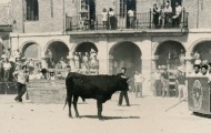 Con el tablero en Mayorga 1972