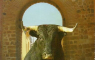 Portada programa fiestas Mayorga 2005