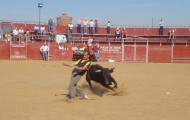 Faluchi corte 1999