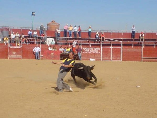 Faluchi corte 1999