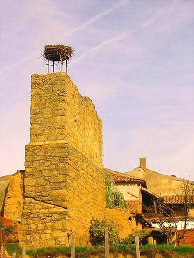 Restos Muralla Mayorga