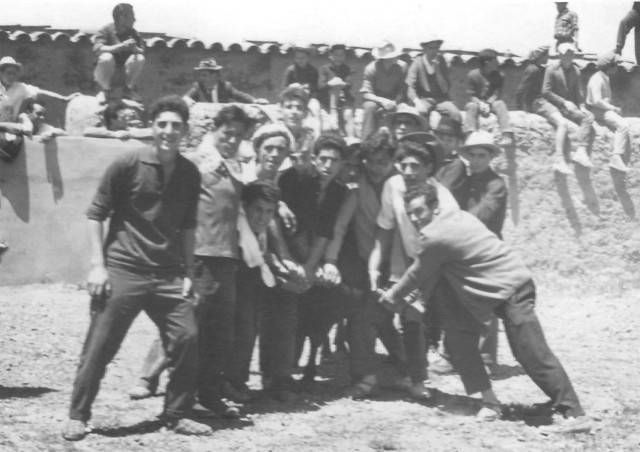 Foto en el Toro de Mayorga