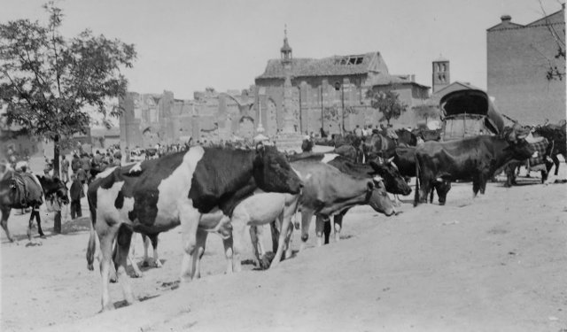 Feria Ganado en el Rollo de Mayorga