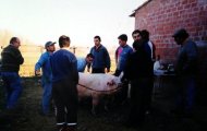 Amigos de mantanza en Mayorga 1998