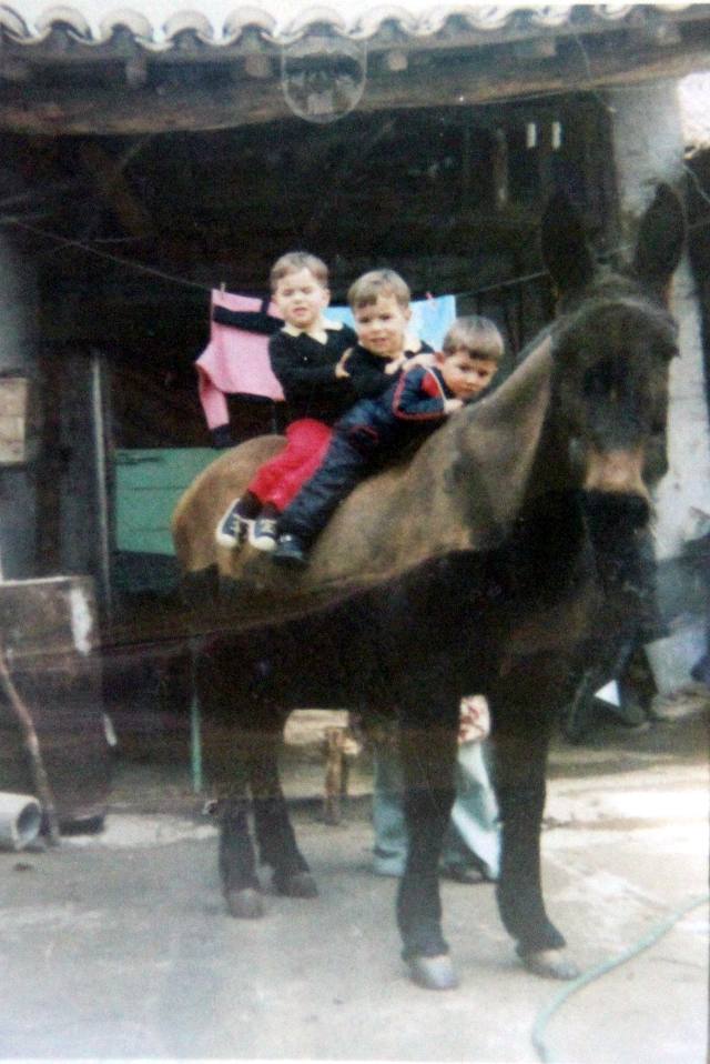 Primos en la mula 1980