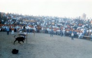 Plaza de toros Mayorga 1990