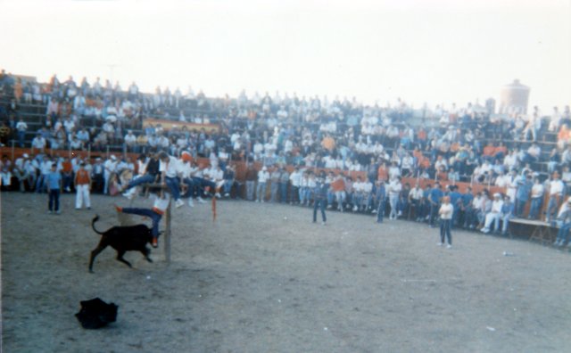 Plaza de toros Mayorga 1990