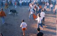 Maletillas mayorganos 1990