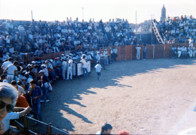 Panorámica plaza toros Mayorga 1990