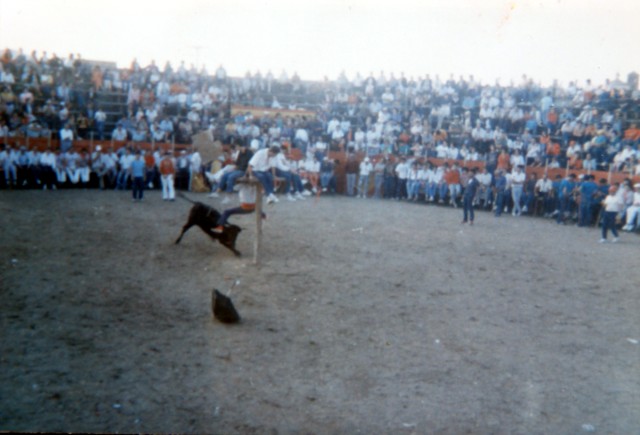 Plaza de toros Mayorga 1990