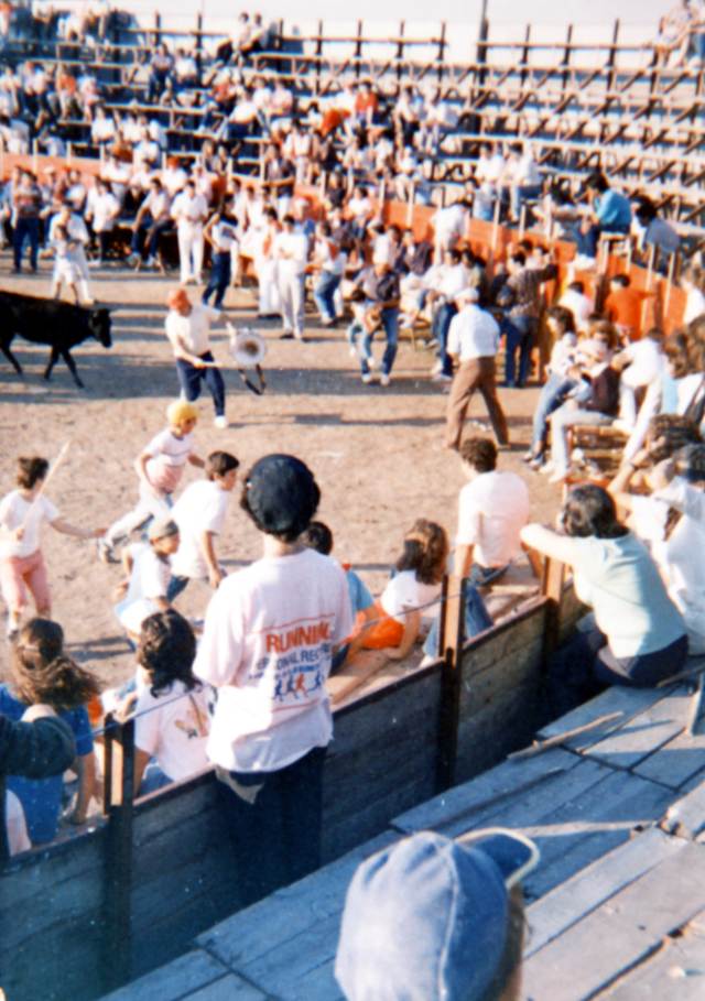 Plaza toros Mayorga 1990