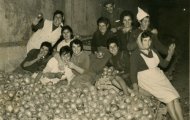 Recogiendo cebollas en Mayorga
