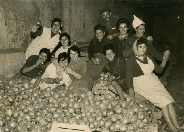 Recogiendo cebollas en Mayorga