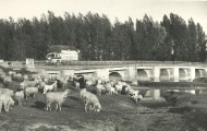 Puente viejo río Cea Mayorga