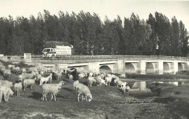 Puente viejo río Cea Mayorga