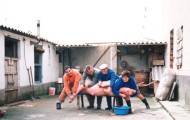 De matanza en Mayorga 1994