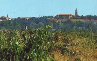 Panorámica de Mayorga desde un viñedo o majuelo