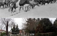 Foto comparando el parque del Rollo de Mayorga antes y ahora