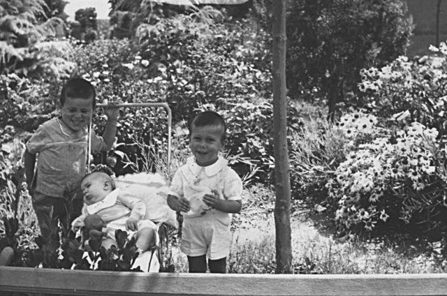 José, Ricardo y Nando Solís en el Mirador de Mayorga 1959